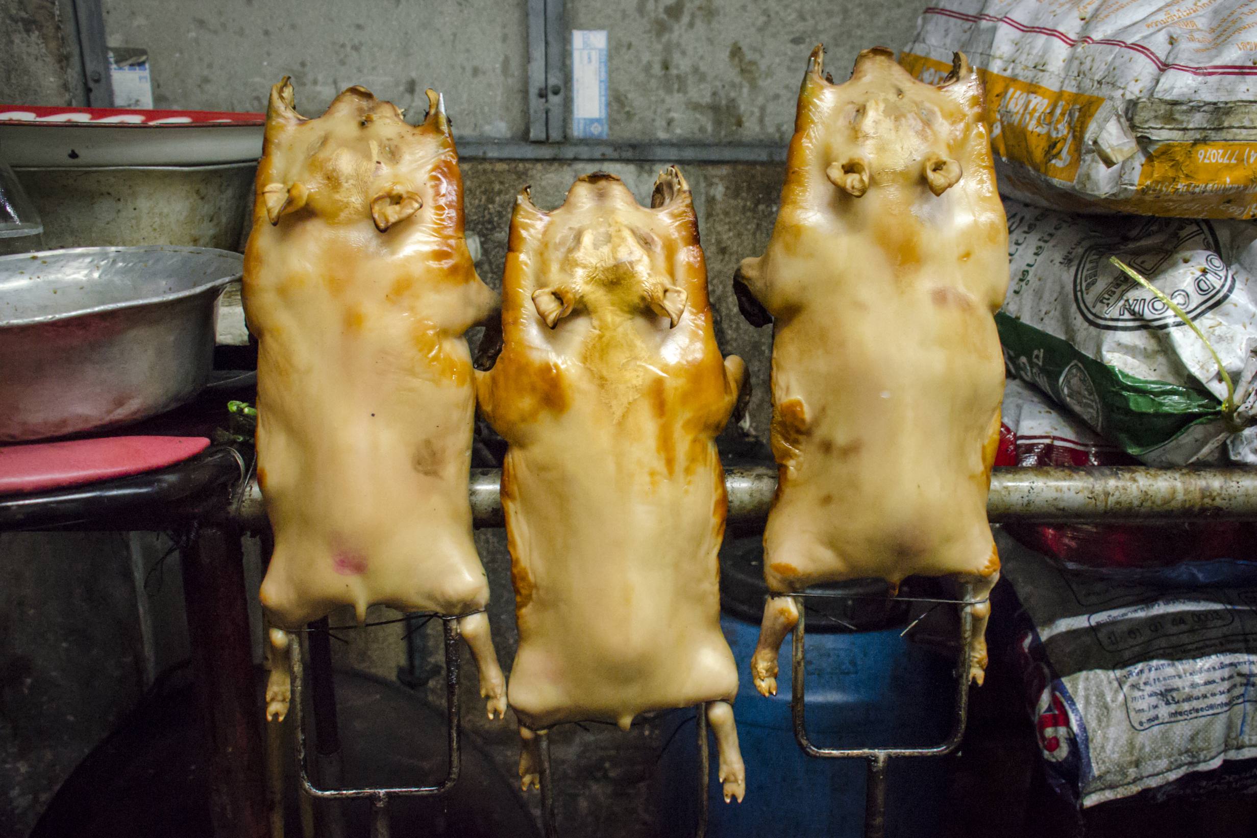 Bangkok Thai Cuisine: Suckling Pigs on a Pitchfork