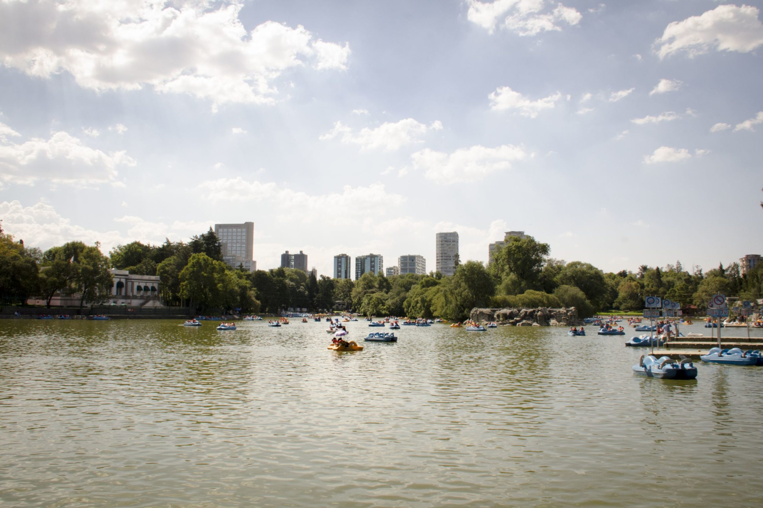 Petites embarcations à pédales flottant sur une étendue d'eau calme.