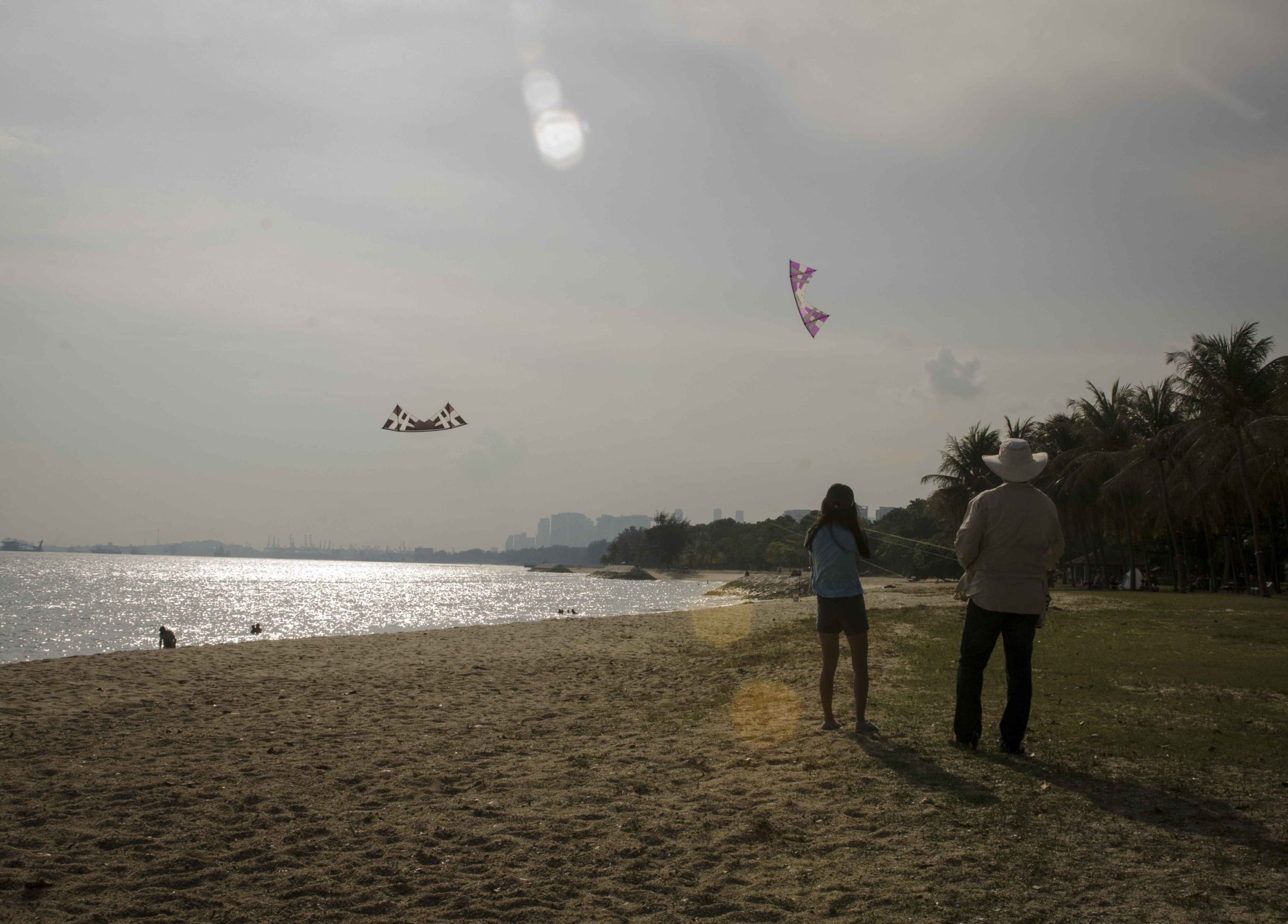 Visit Singapore City: Kites at the Beach