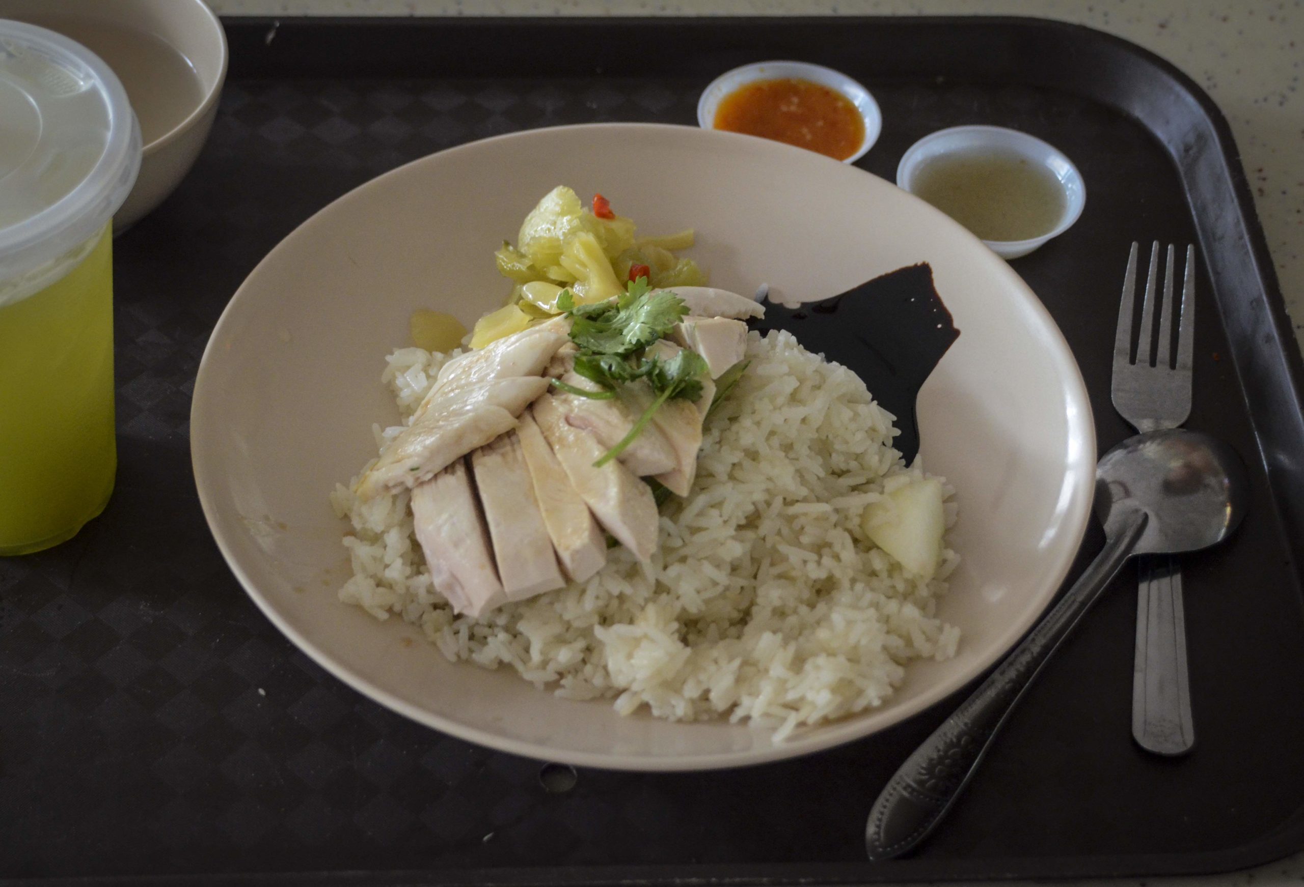 Visit Singapore City: The National Dish, Chicken Rice