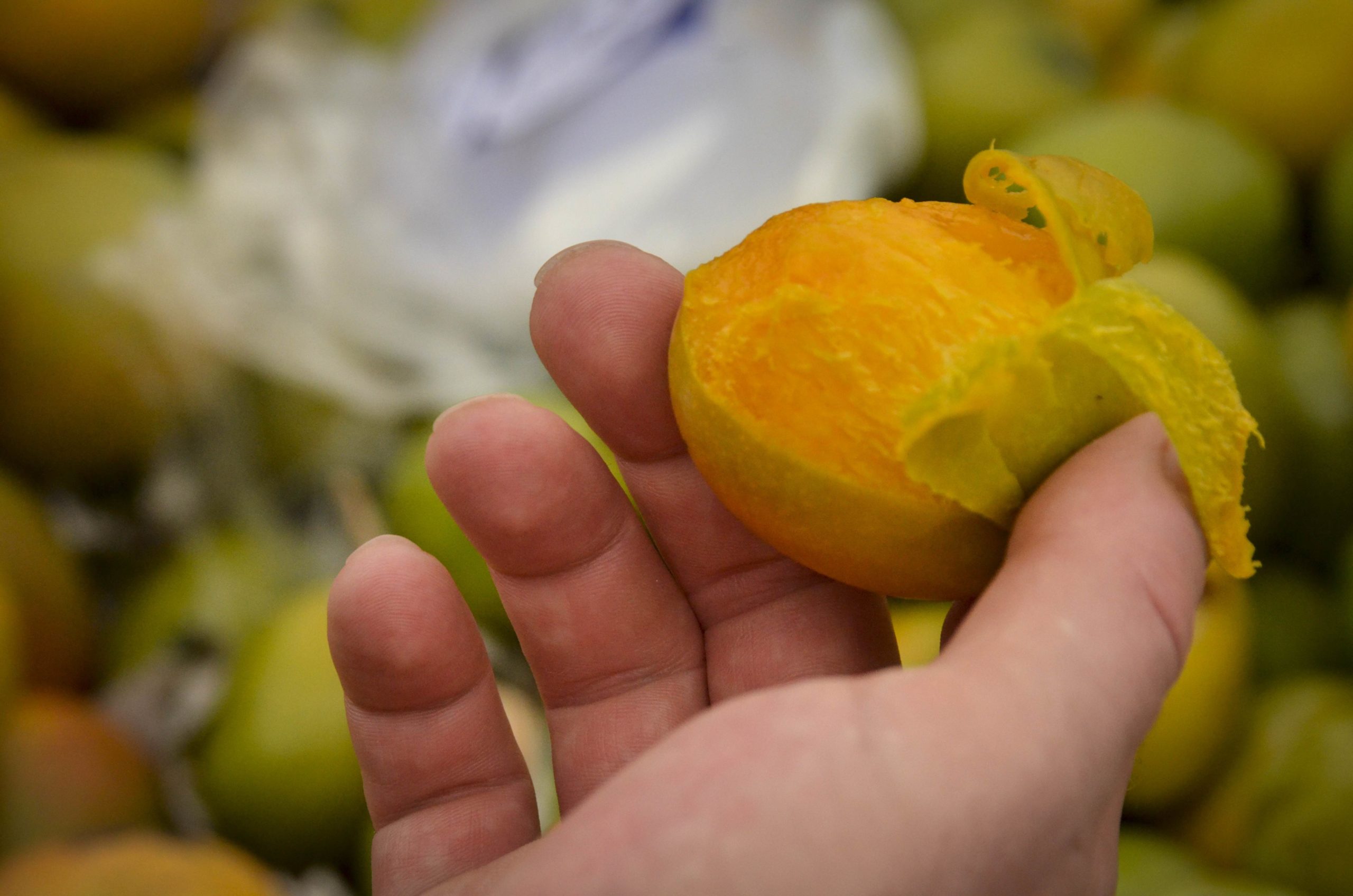 Fruit tropical de petite taille tenu délicatement dans une main.