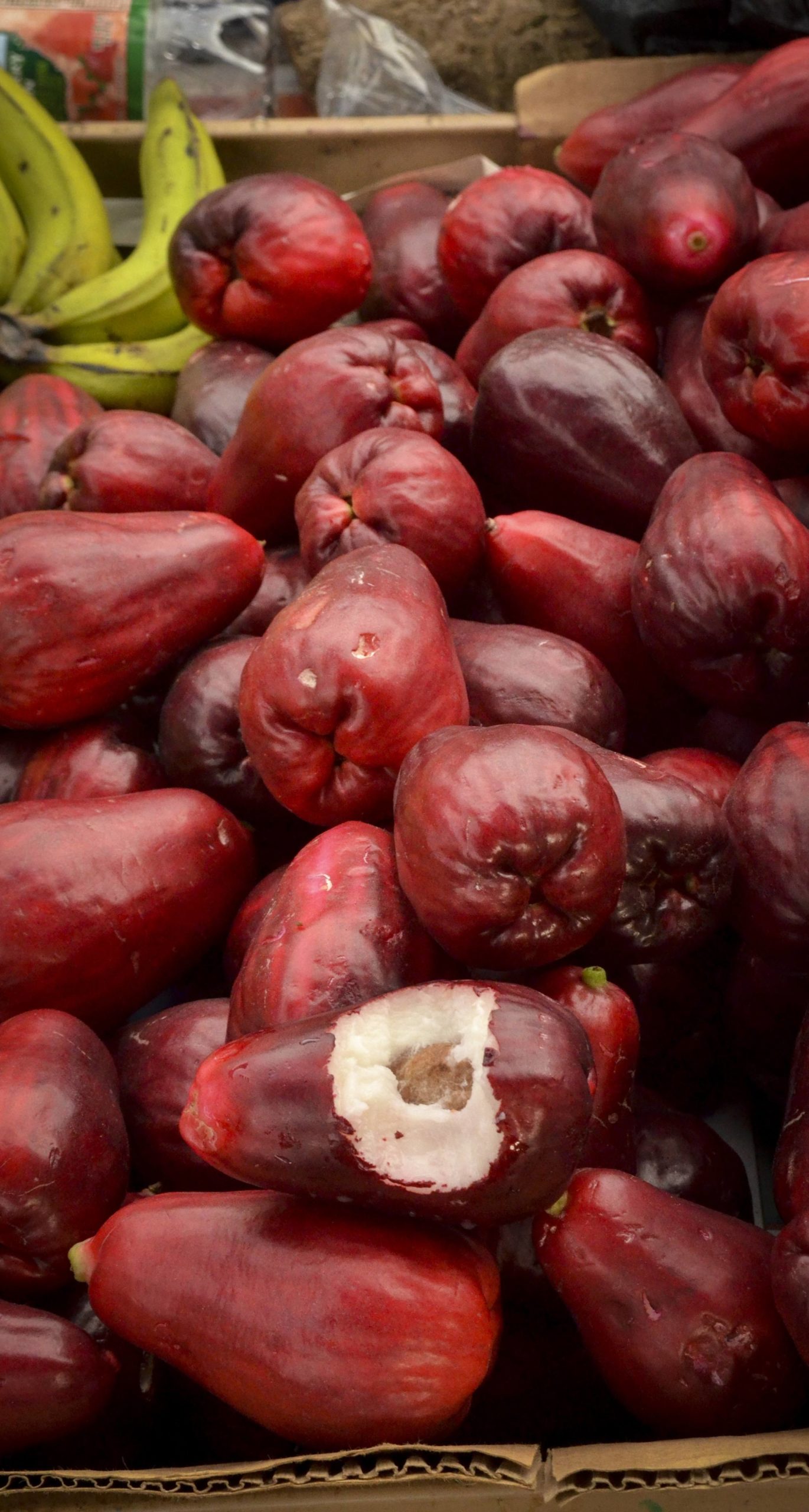 Fruits à la pelure rouge vif empilés dans un récipient.