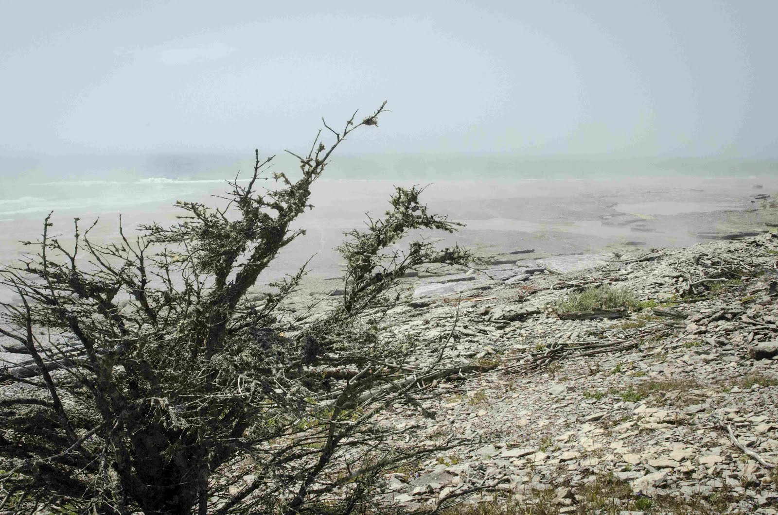 Havre-Saint-Pierre: La nature autour de la ville est superbe