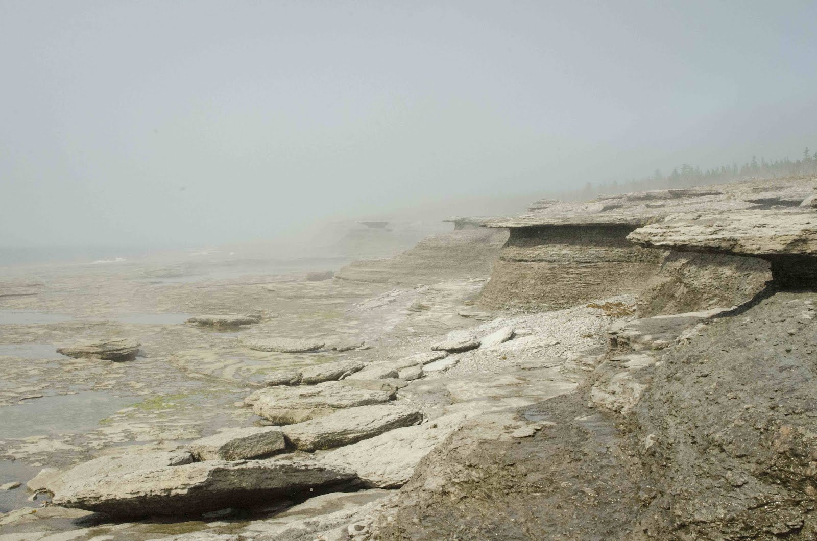 Havre-Saint-Pierre: La nature autour de la ville est superbe