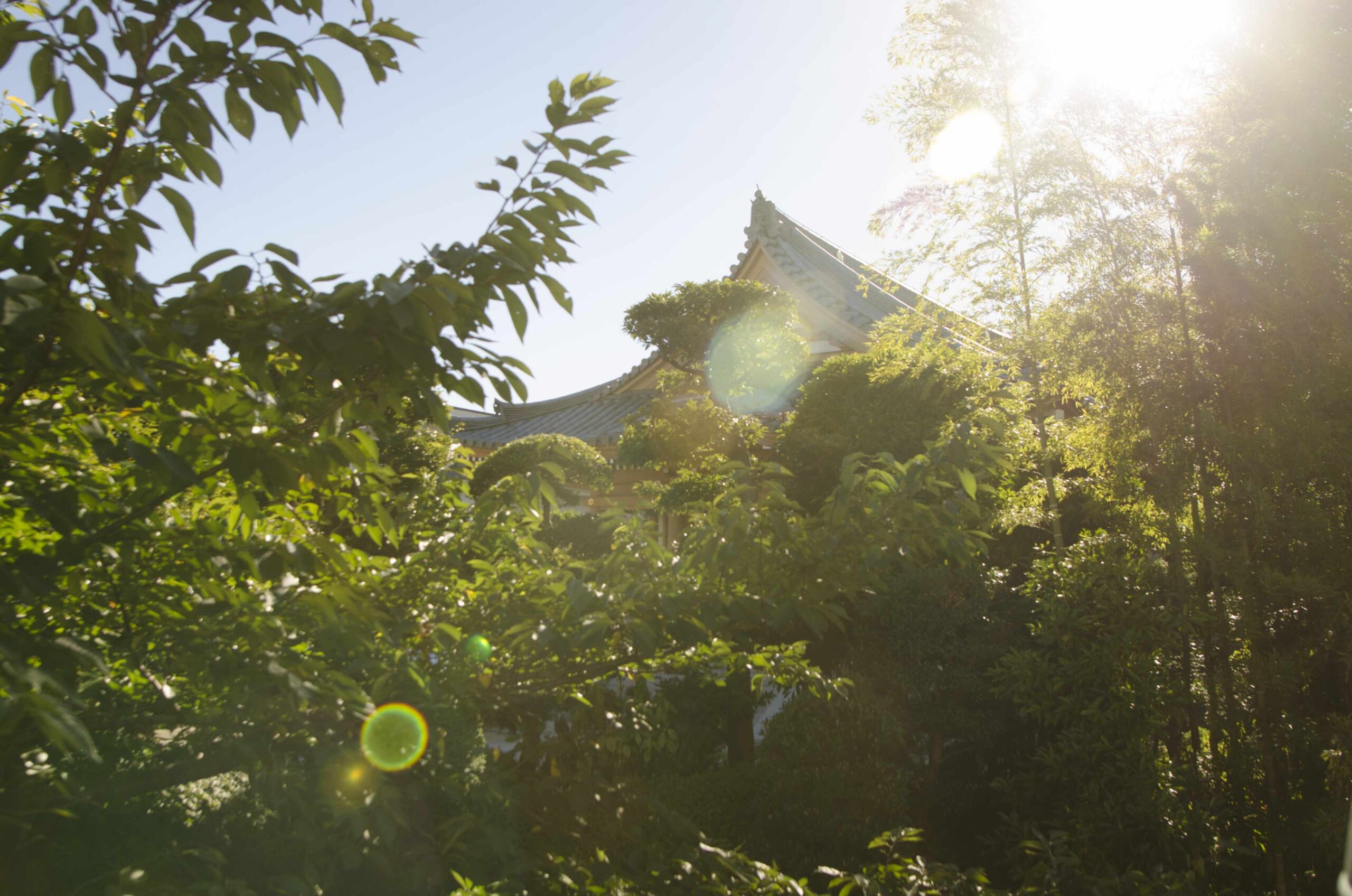 Tokyo Attraction: A Temple in the City