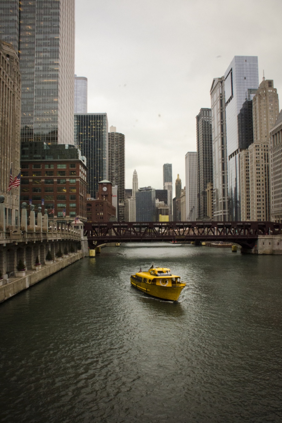 A view of the river in Chicago