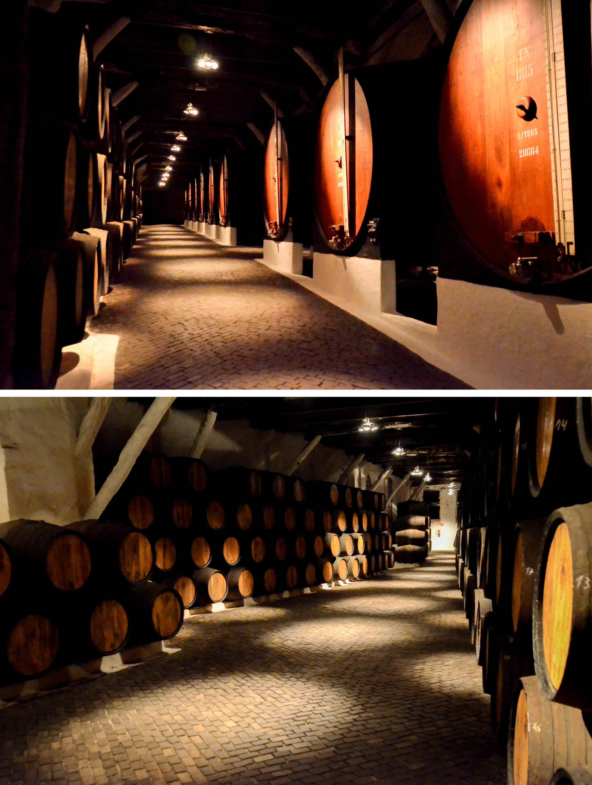 A glass filled with Port wine