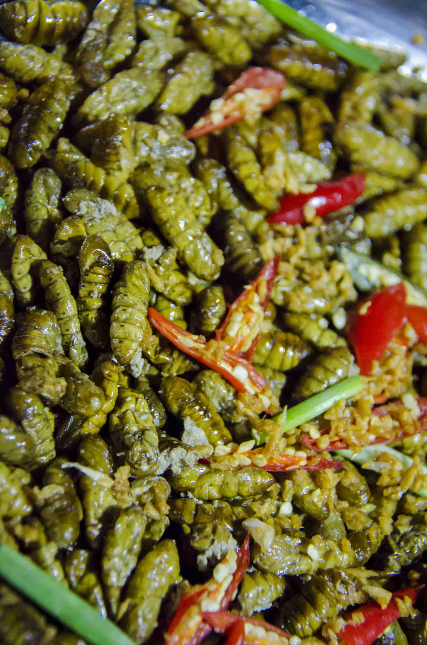 Eating Insects: Maggots