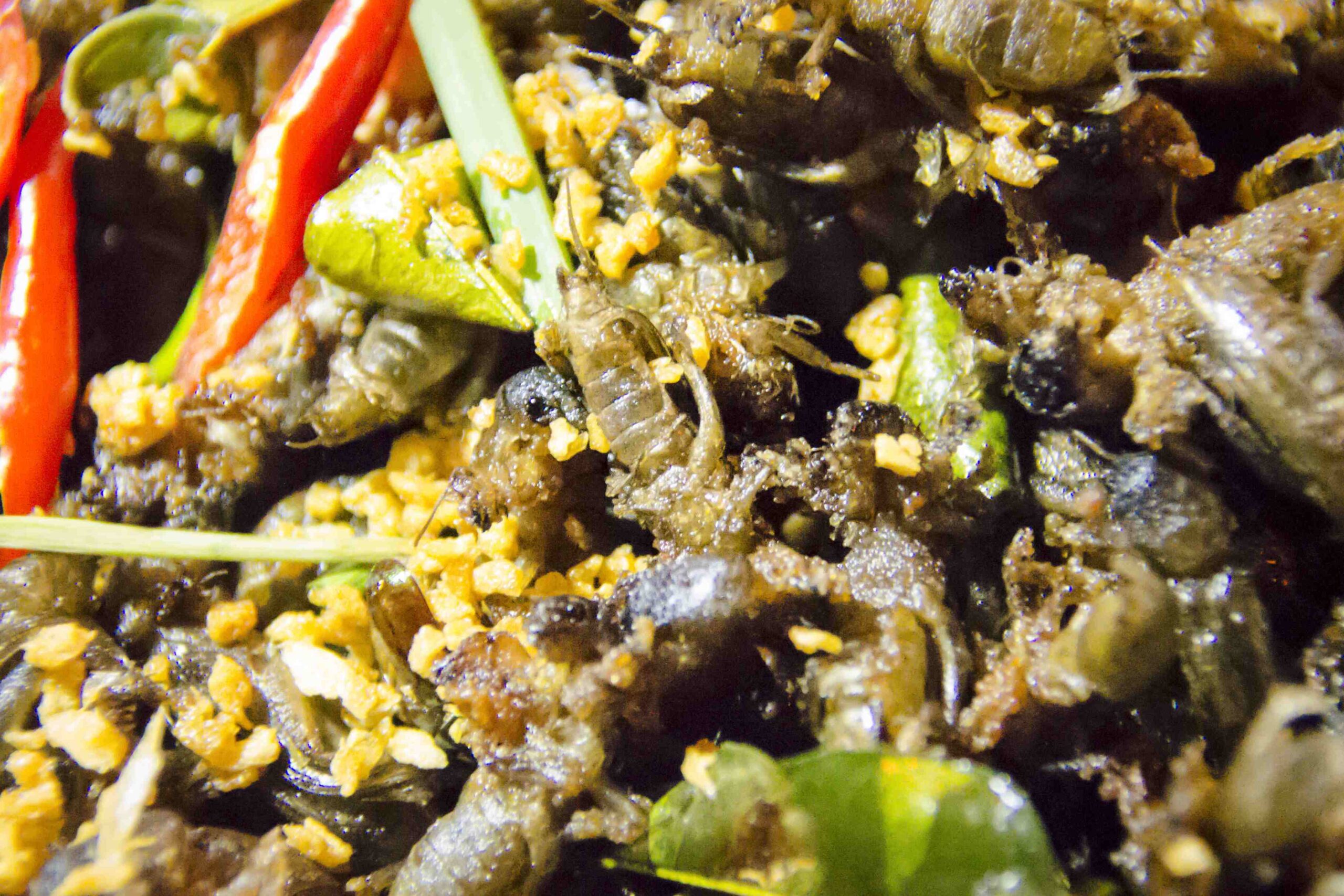 "Baan Saladaeng"