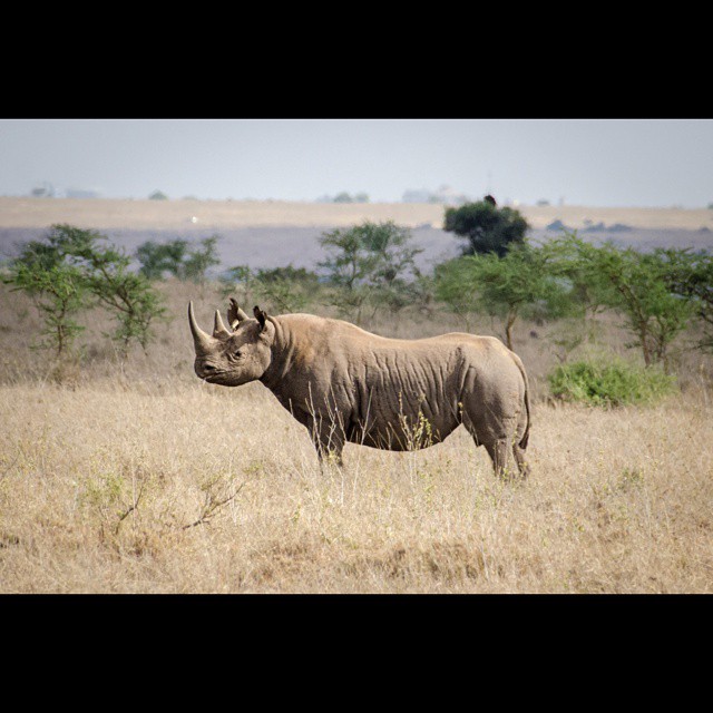 Things to do in Nairobi