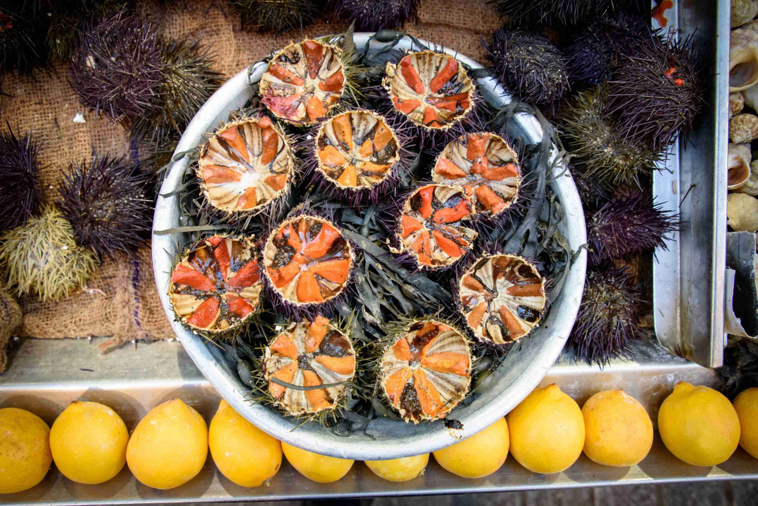 Oh, yes! You don't like sea urchin! I forgot!