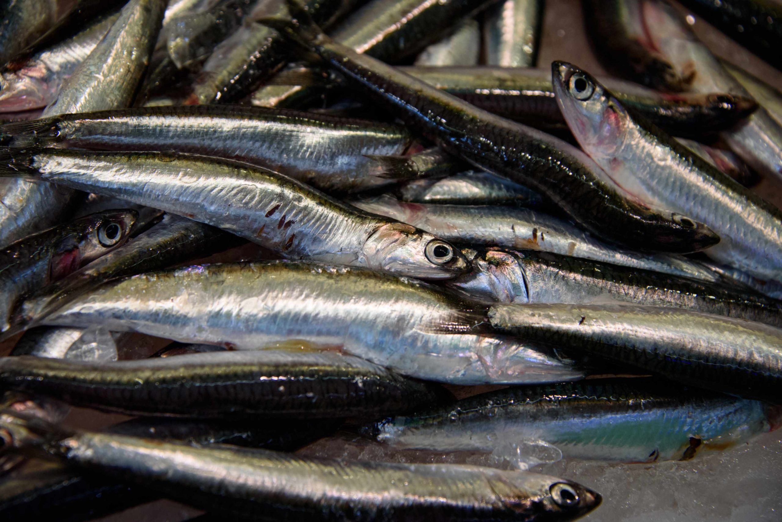 Post Travel Depression: Healthy habits? Mediterranean diet? Focus on it.