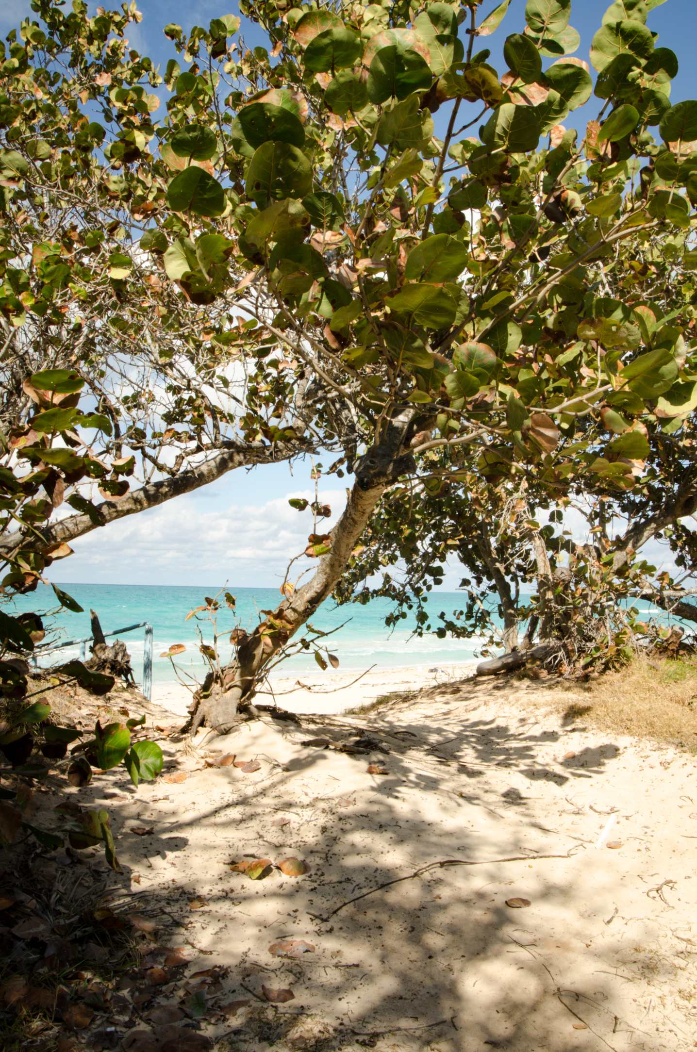 Voyager pas cher - Quand notre voyage annuel principal, c'est cinq jours à Cuba...
