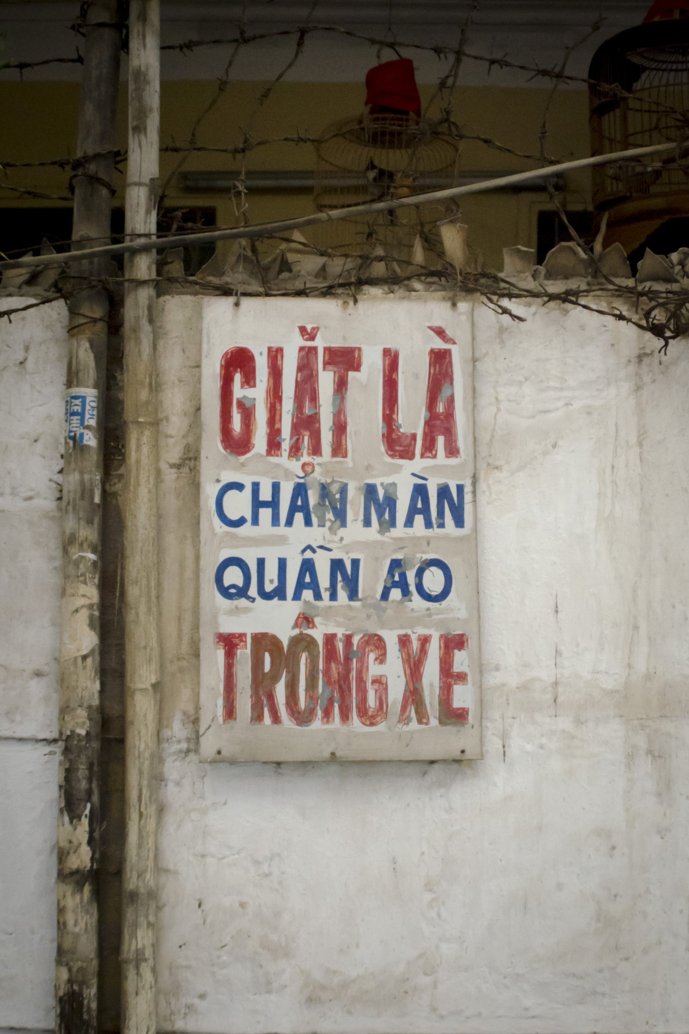 A person using a smartphone to translate text