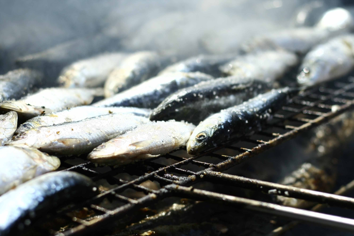 A serving of grilled sardines in Lisbon