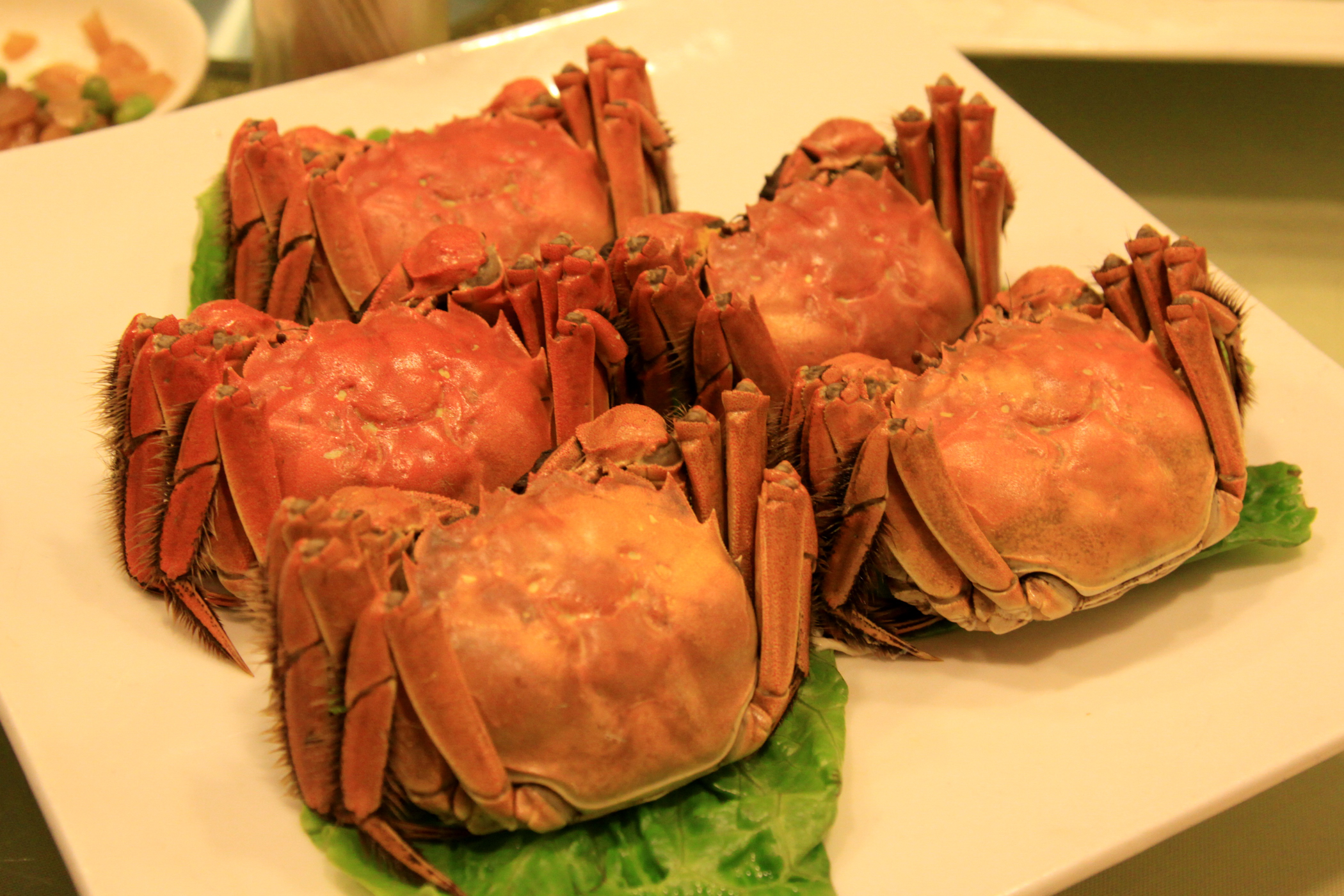 Serving of Shanghai hairy crab