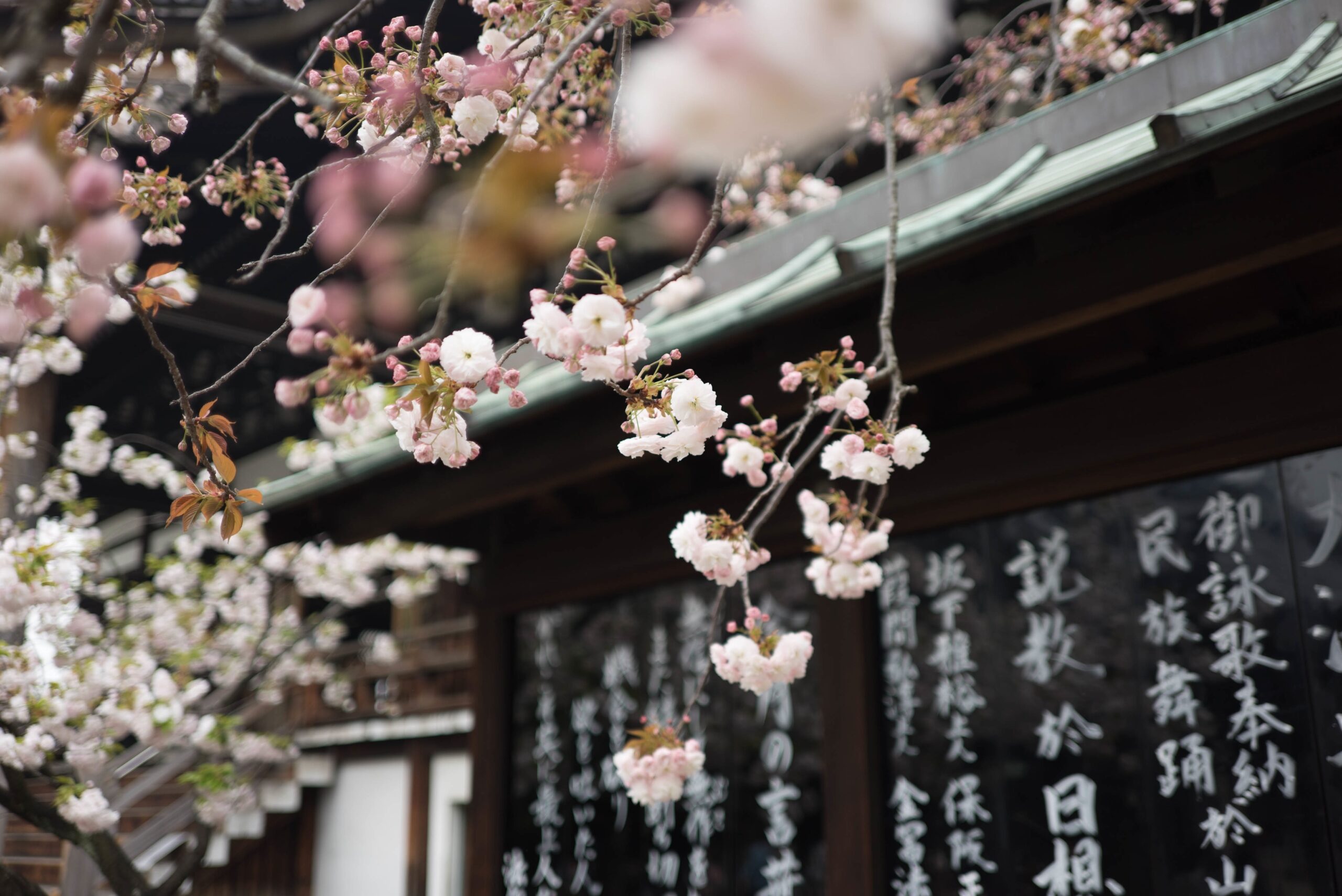 City scene in Osaka, Japan