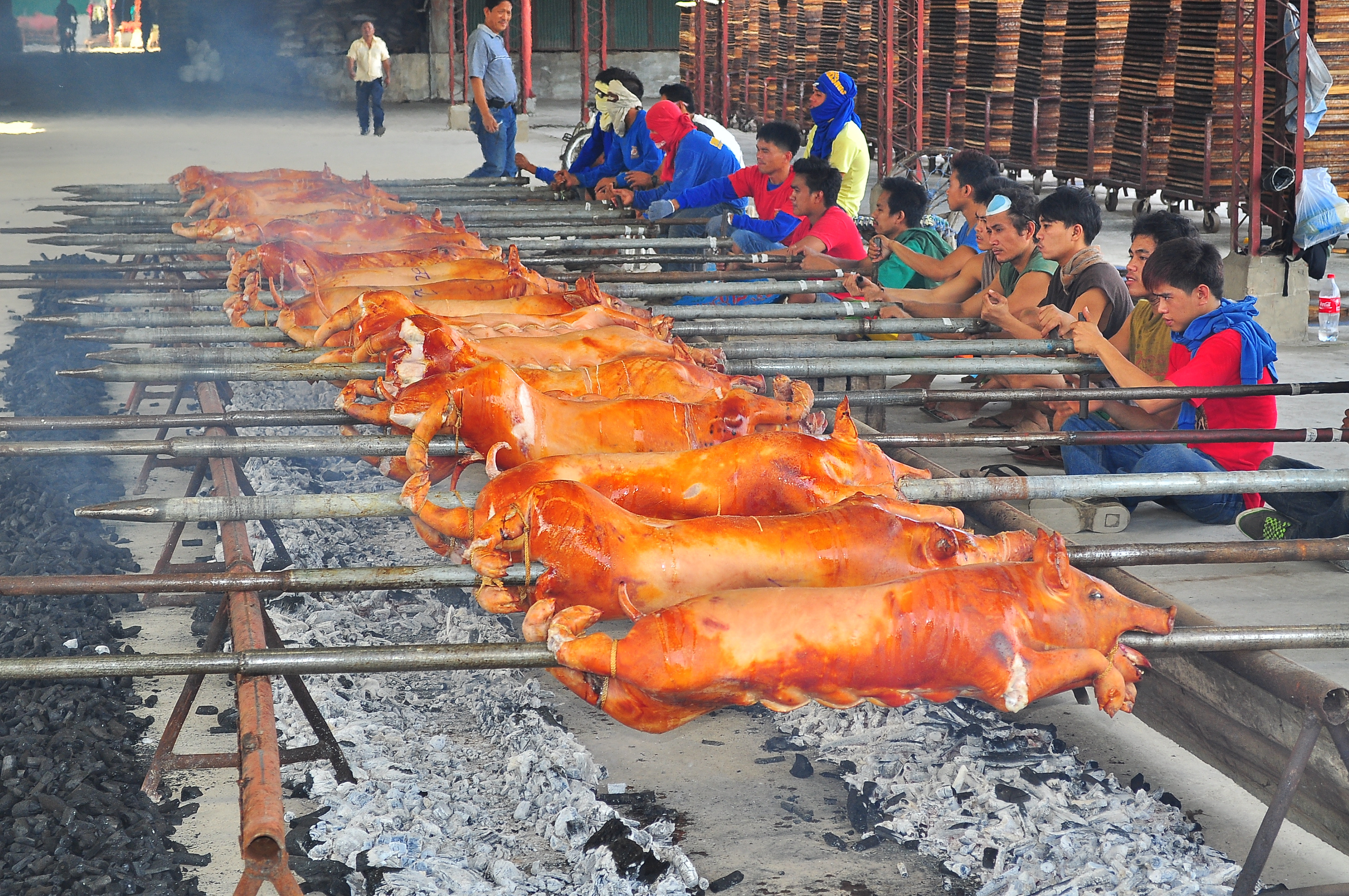 Andrew Zimmern Delicious Destinations Manila - Several pigs being roasted over coals