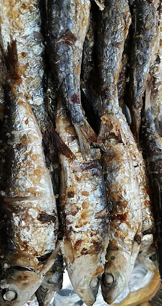 Grilled Sardines - photo by Monica_Loirinha under CC-BY-SA-2.0