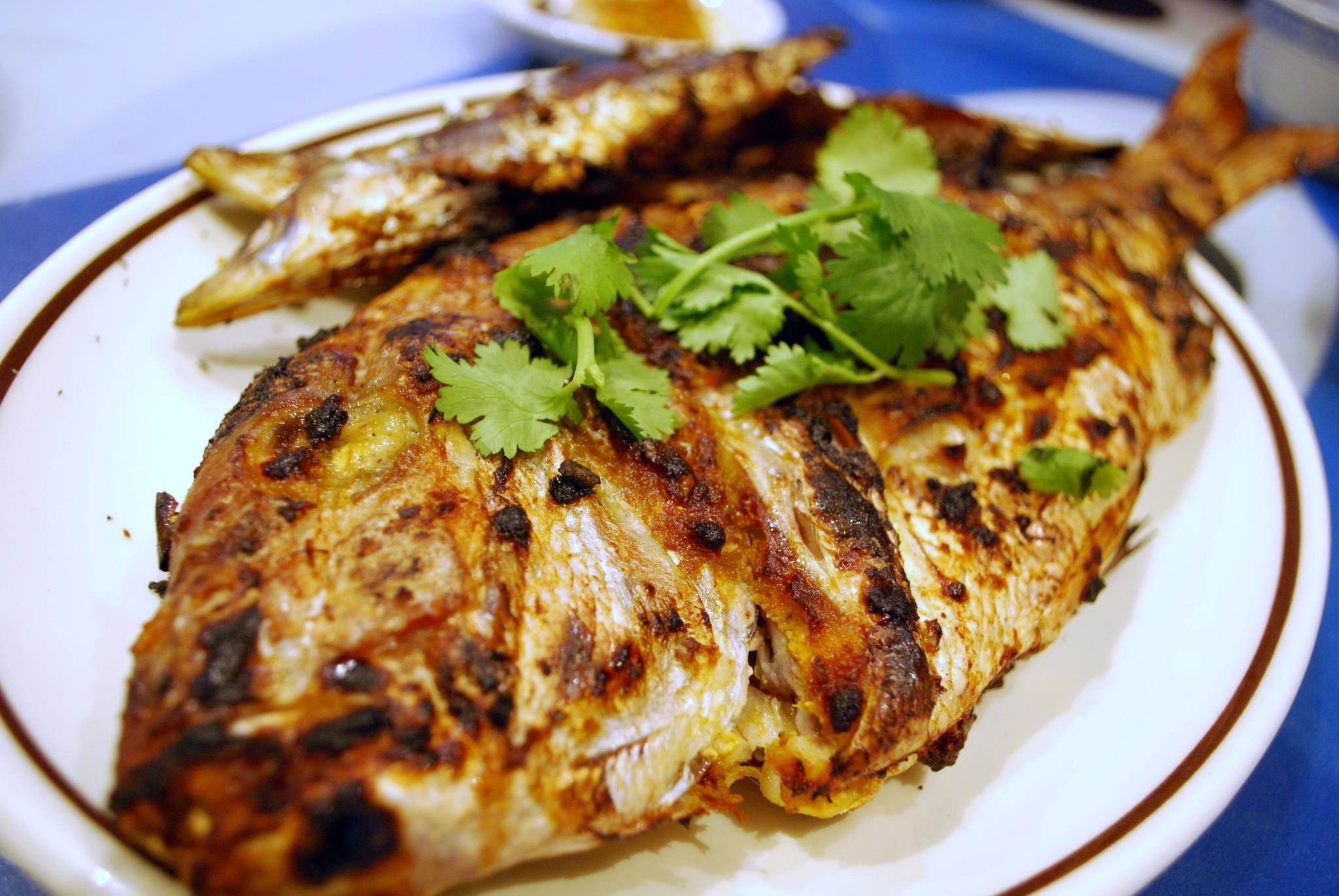 Anthony Bourdain US Heartland - Grilled Snapper - photo by Alpha under CC BY-SA 2.0