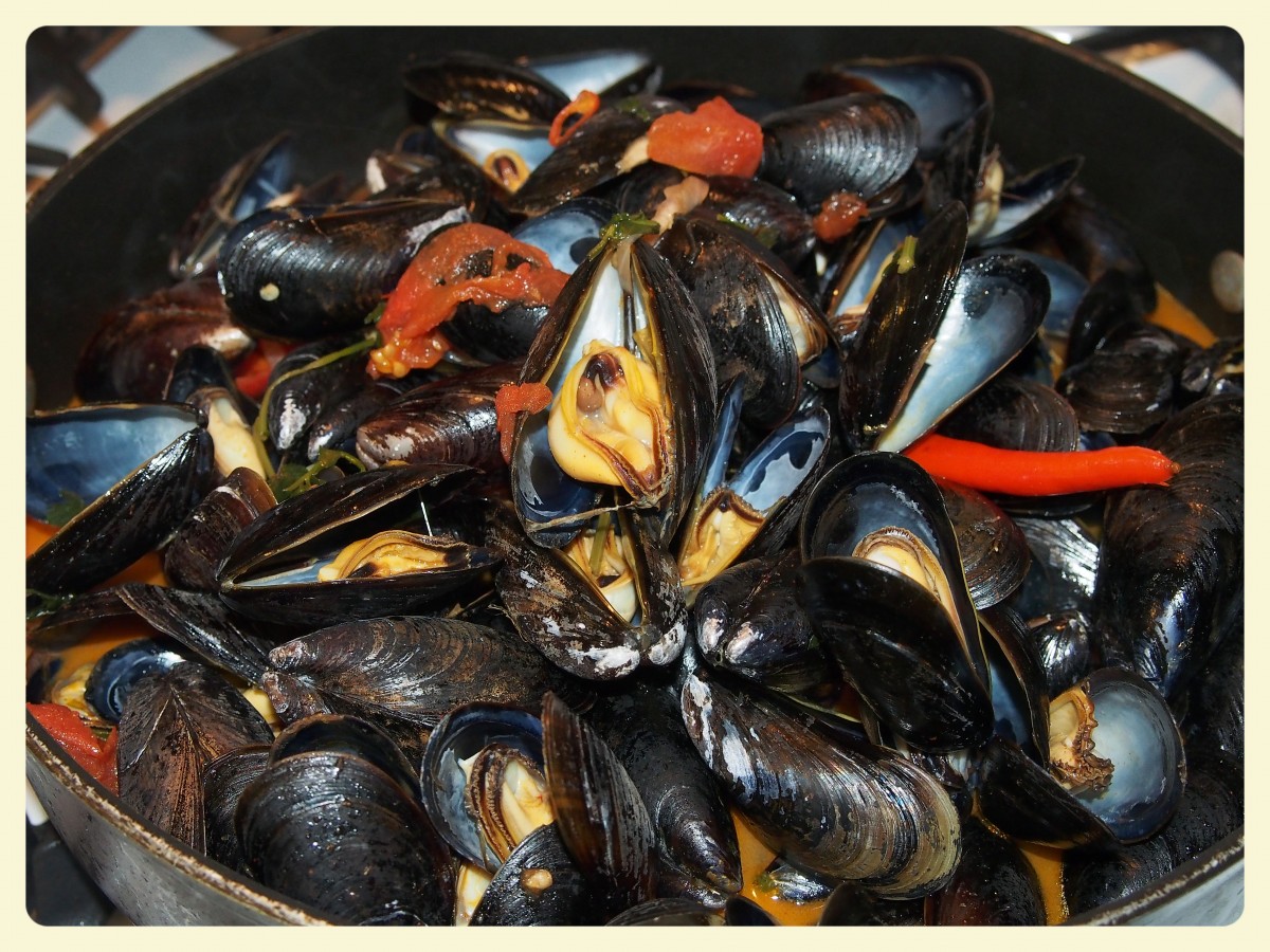 Anthony Bourdain Croatia- Dagnje na Buzaru (Croatian Mussels) - photo by PxHere under CC0