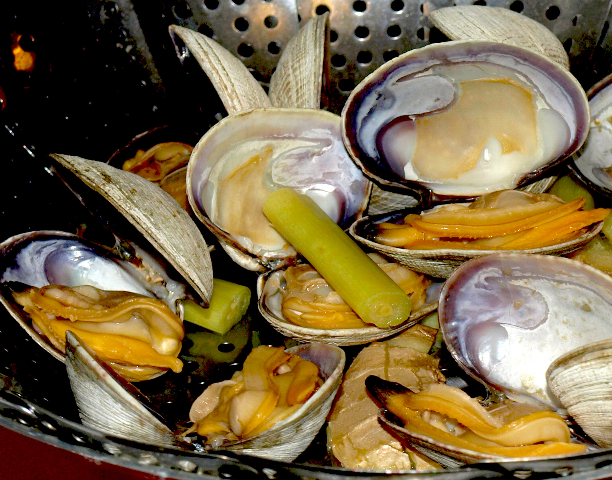 Steamer Clams - photo by Nha Le Hoan under CC BY 2.0