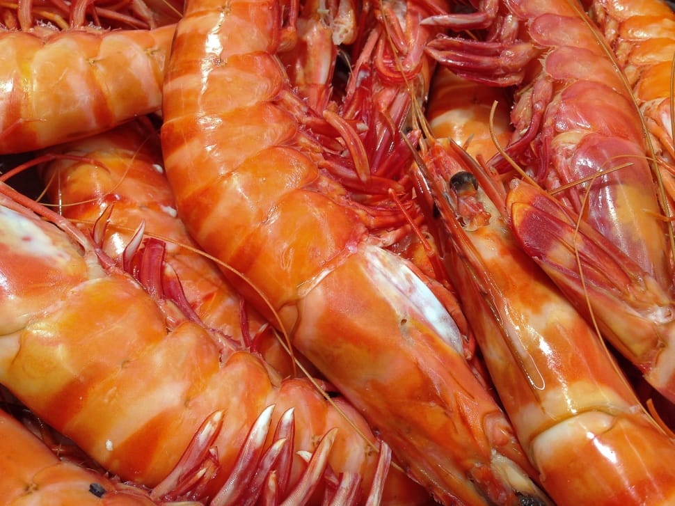 Steamed Shrimp - photo by Peakpx under CC0 1.0 