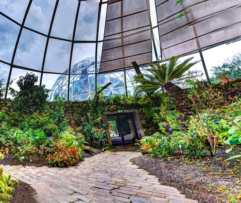 free things to do in Zurich - Botanical Garden of the University of Zurich - photo by Wendelin Jacober under CC BY 2.0
