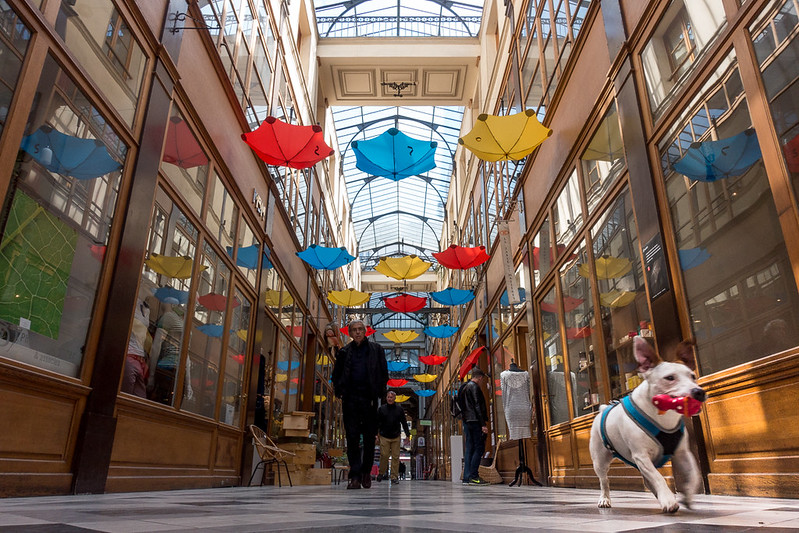 best shopping in Paris - Passage du Grand-Cerf - photo by Sven Sven under CC BY 2.0