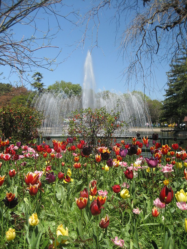 Yıldız Park - photo by ccarlstead under CC BY 2.0