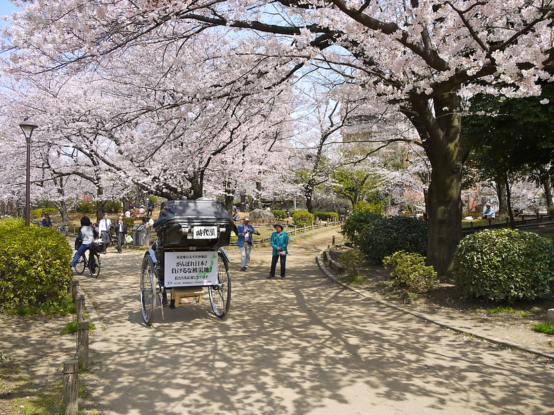 Sakura Season at Sumida Park - photo by Yoshikazu TAKADA under CC BY 2.0