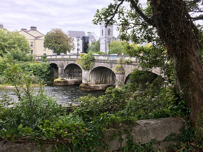 Salmon Weir Bridge - photo by Ayounginsb under CC-BY-SA-4.0