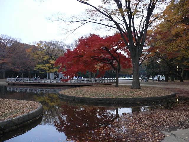 autumn at Yoyogi Park - photo by kcomiida under CC-BY-SA-3.0