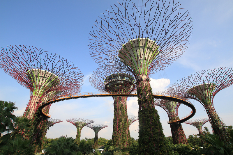 Gardens by the Bay in Singapore - photo by Public Domain under CC0 / Public Domain