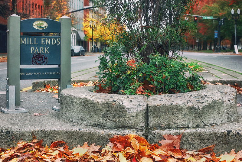 Autumn at Mill Ends Park - photo by Ian Sane under CC BY 2.0