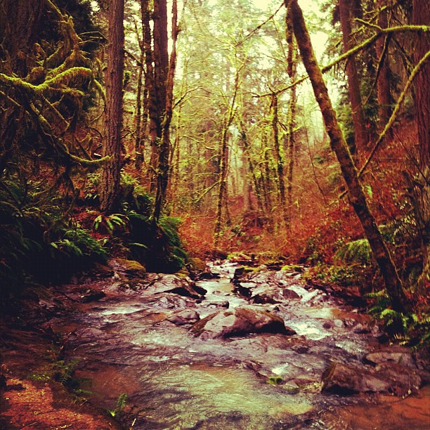 free things to do in Portland, Oregon - At Forest Park in Portland, Oregon - photo by Tim Hettler under CC BY 2.0