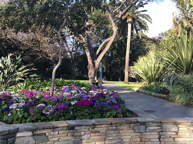 Stirling Gardens - photo by Travis Saron under CC-BY-SA-4.0