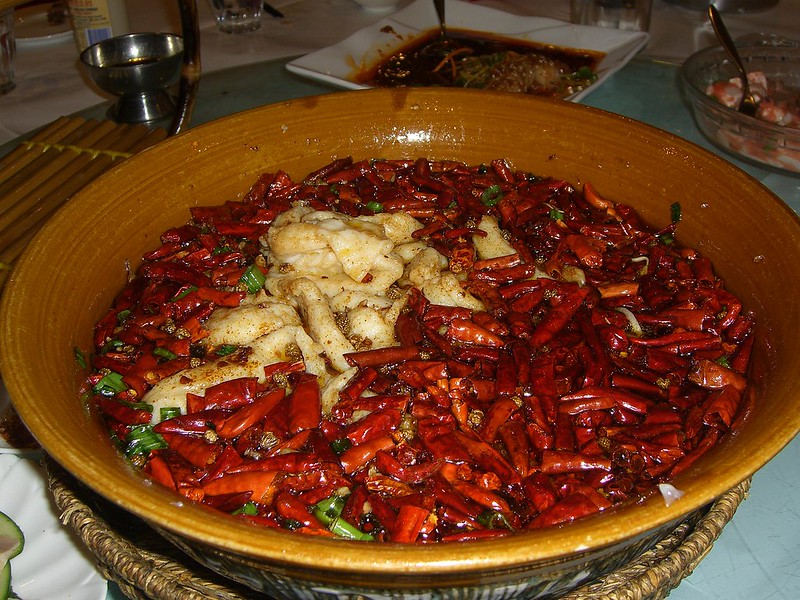 Anthony Bourdain Chicago - Spicy Fish Hotpot - photo by Alpha under CC BY-SA 2.0