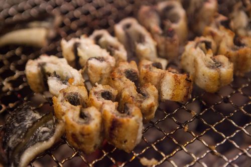 Anthony Bourdain Vietnam - Grilled Eel - photo by cutekirin under Pixabay License
