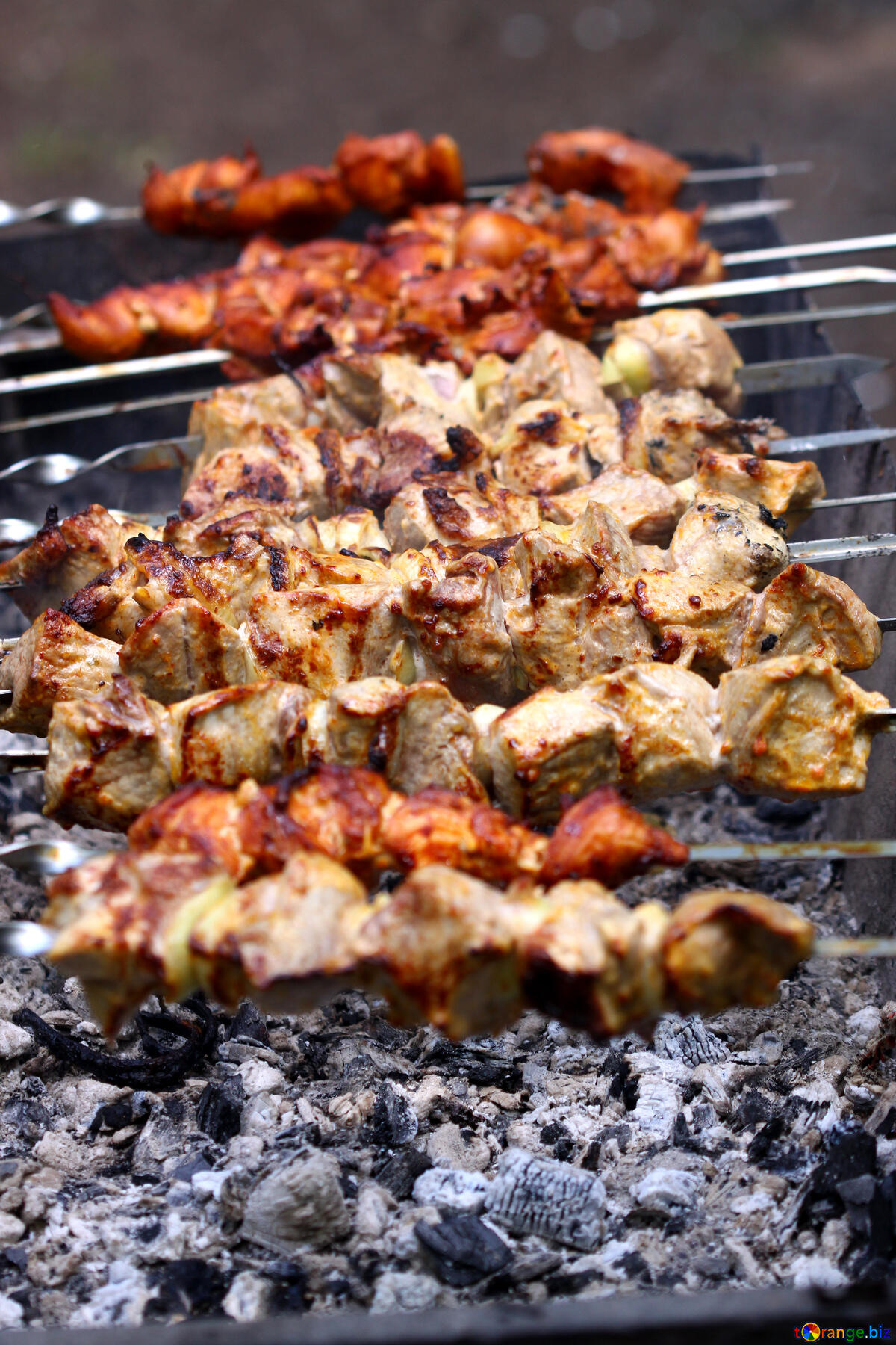 Anthony Bourdain Kolkata and Mumbai - Preparation of kebabs on the grill - photo from ©torange.biz under CC BY 4.0